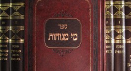 Mei Menuchot Series