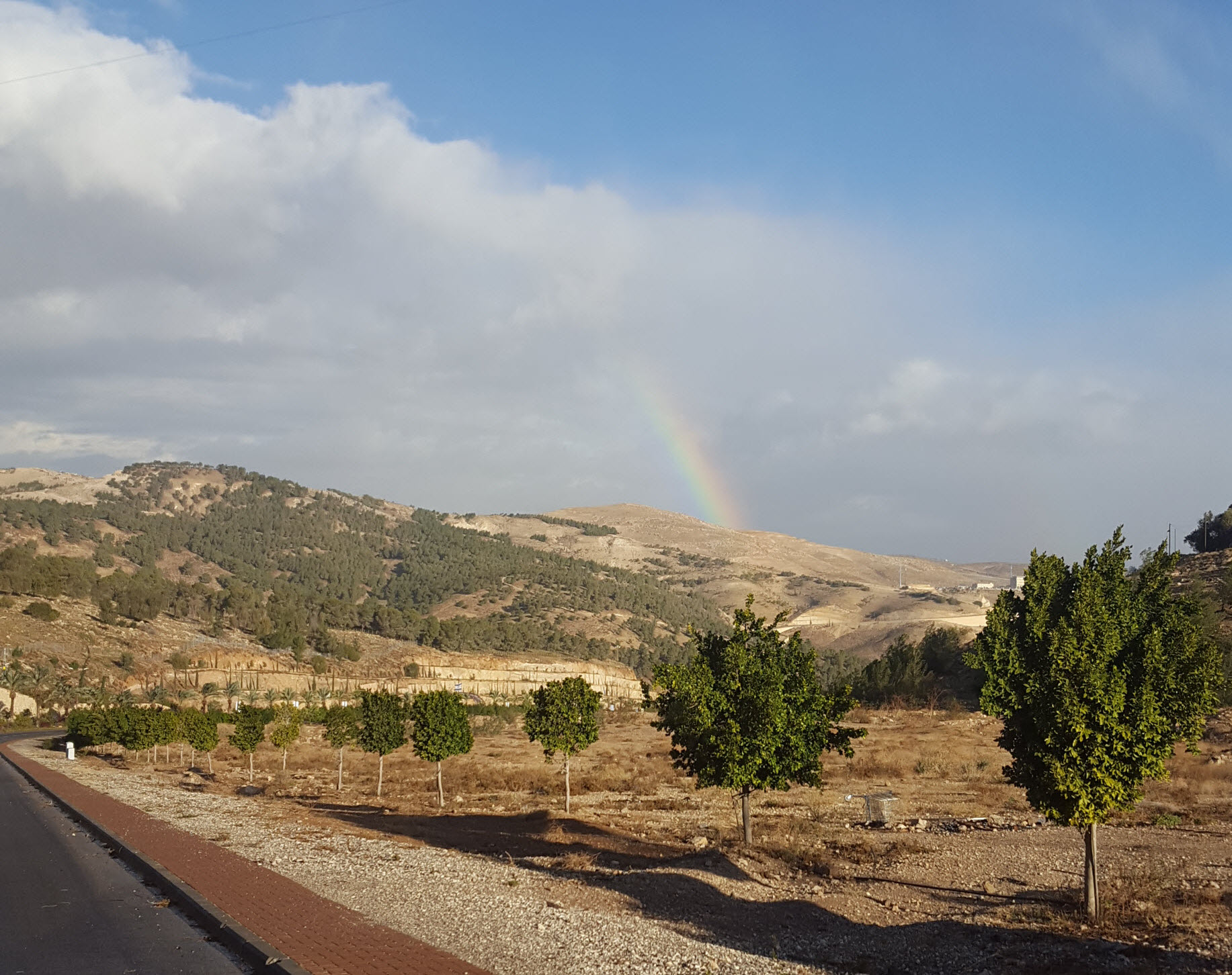 Noach 5778