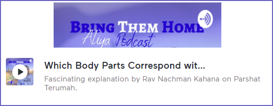 Podcast: Which Body Parts Correspond…