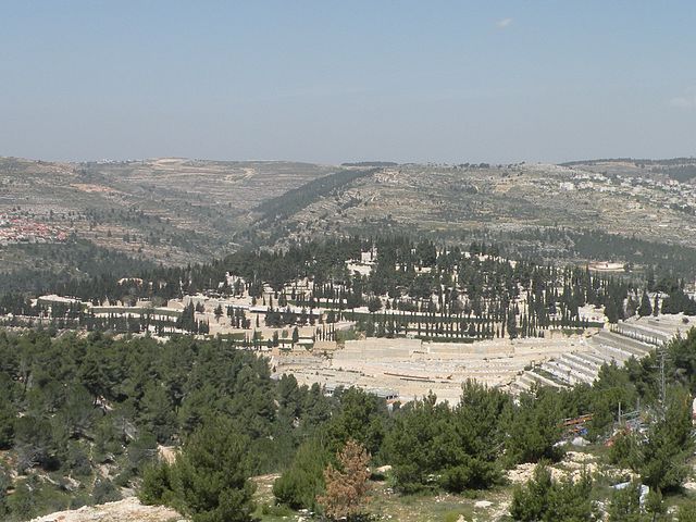 BS”D Parashat Devarim 5783